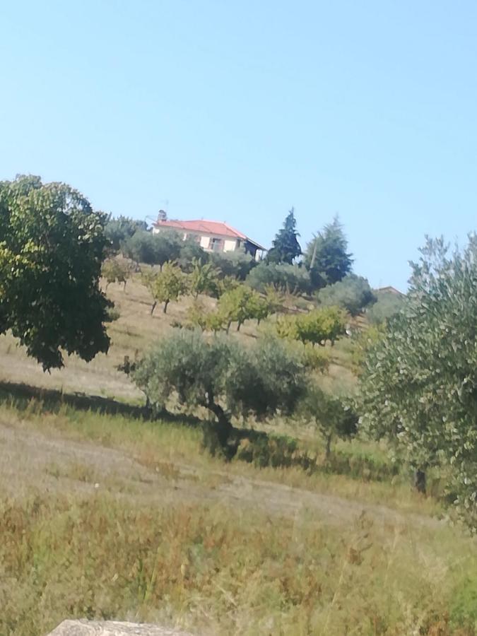 Casa Das Argolas Macedo de Cavaleiros Zewnętrze zdjęcie